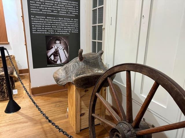 zimg-20250514-wa0060 3